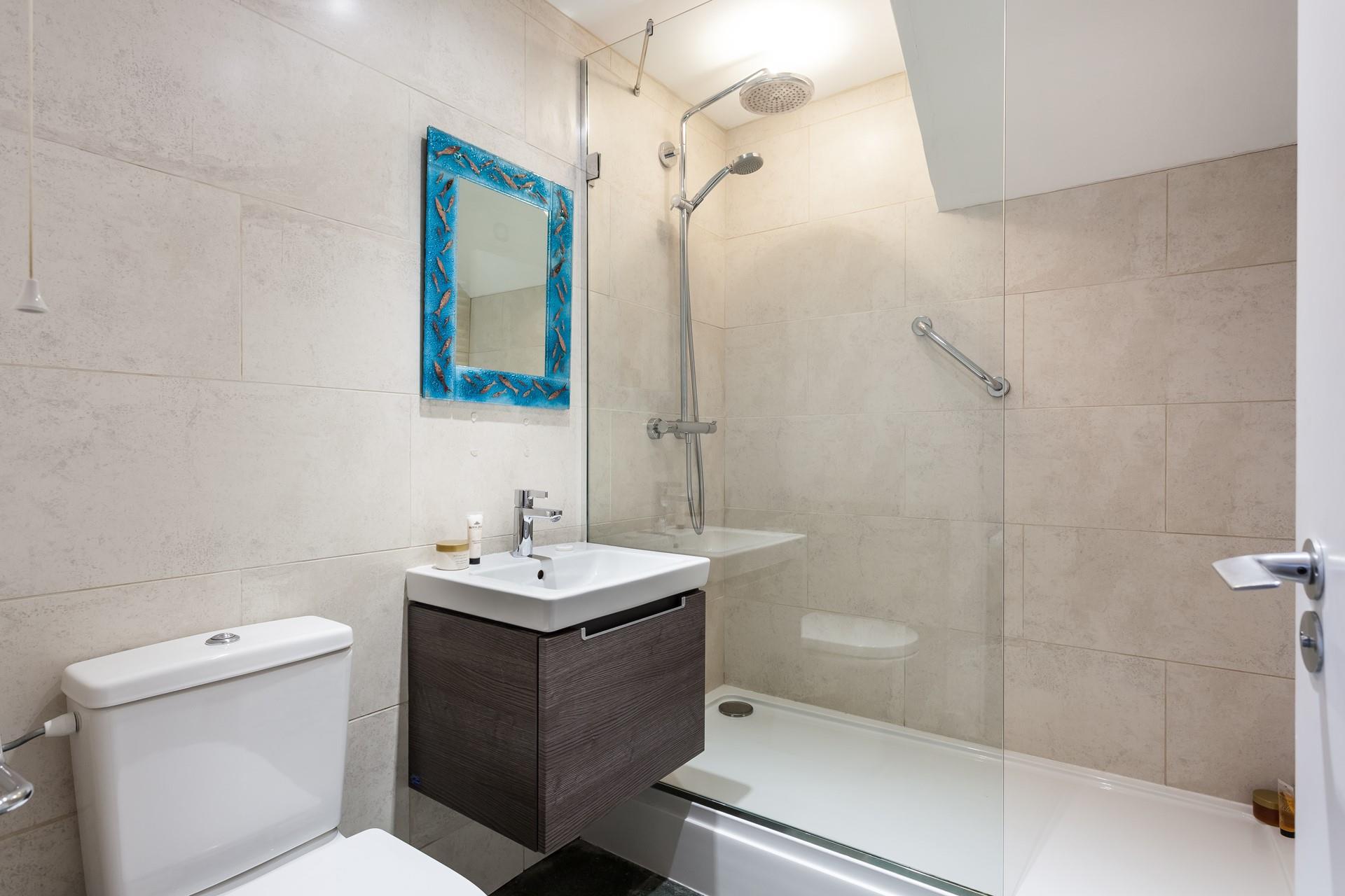 The master bedroom's en suite shower room with large walk-in shower, WC, and basin.