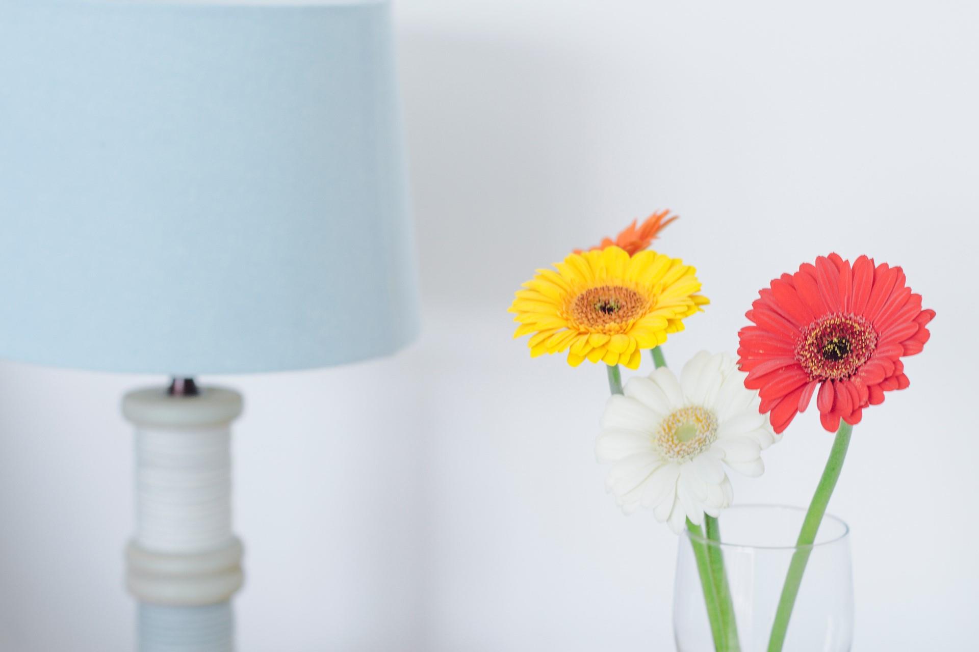 The colourful decor creates a vibrant space to come back to.