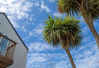 Enjoy sunny blue skies and spend your days on the beach.