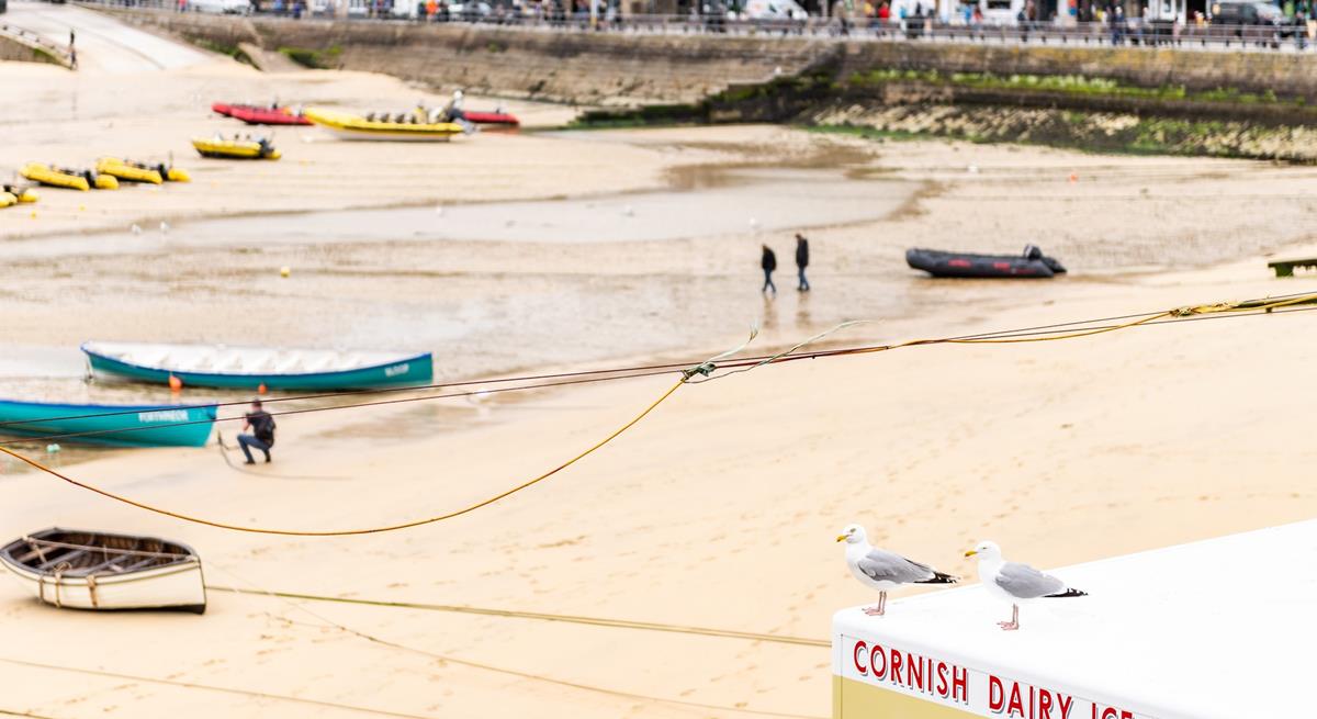 Friendship Cottage looks over the hub of St Ives with local ice creams on sale and lots of fishing activity.