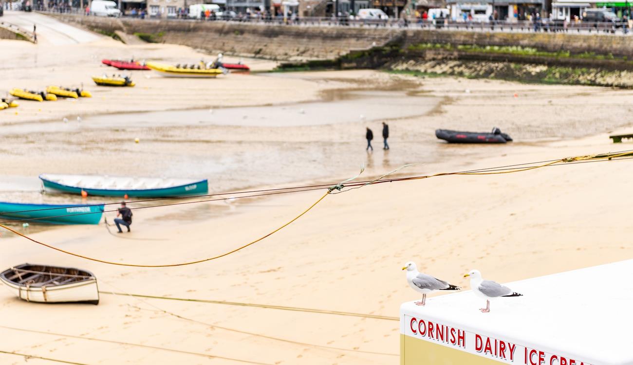Friendship Cottage looks over the hub of St Ives with local ice creams on sale and lots of fishing activity.