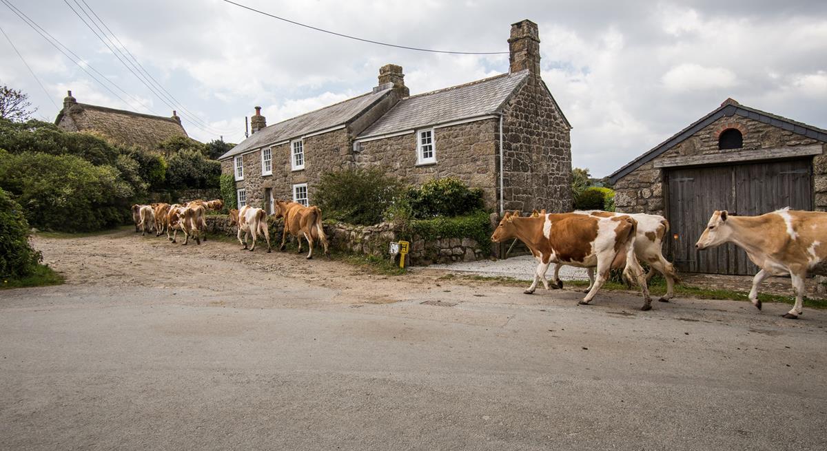 The cottage is in a charming hamlet, where you are as likely to see cows wandering down the road as tourists.