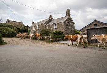 The cottage is in a charming hamlet, where you are as likely to see cows wandering down the road as tourists.
