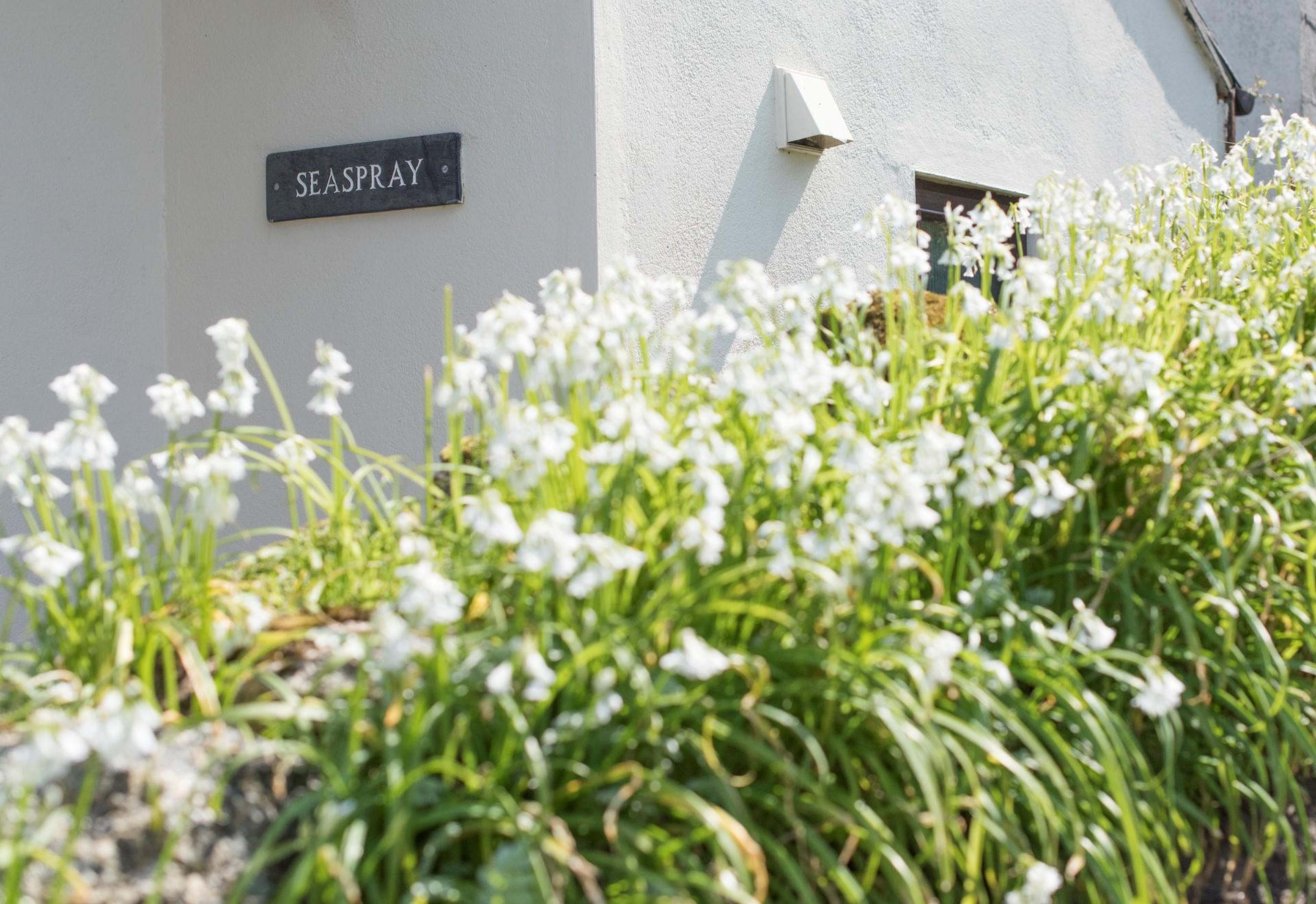 Seaspray makes for the perfect family holiday sleeping up to 5.