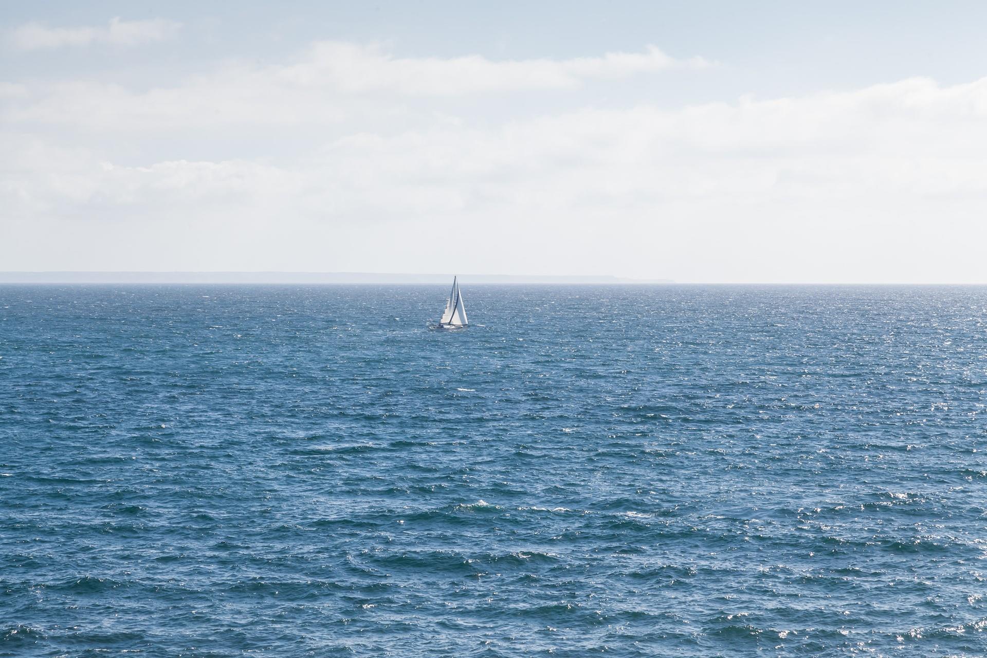 Watch the comings and goings from your garden or in the comfort of your bed.