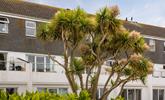 Established plants and shrubs including Cornish palms surround the building. - Thumbnail Image