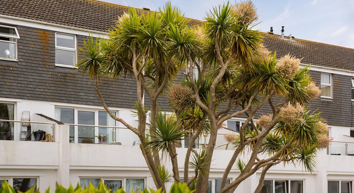 Established plants and shrubs including Cornish palms surround the building.