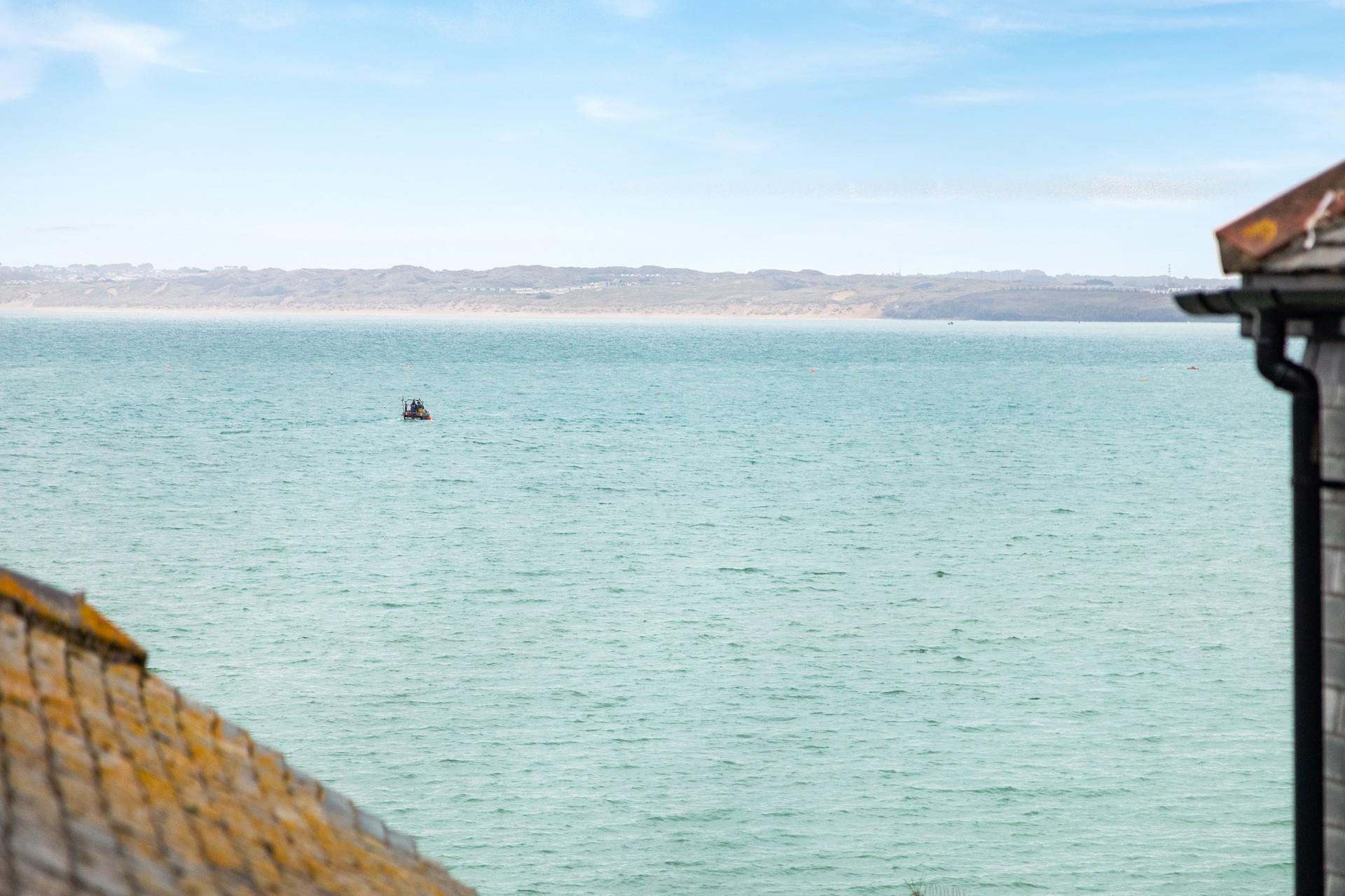 Why not take a boat trip out into the Bay and see what wildlife you can spot.
