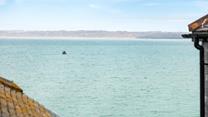 Why not take a boat trip out into the Bay and see what wildlife you can spot.