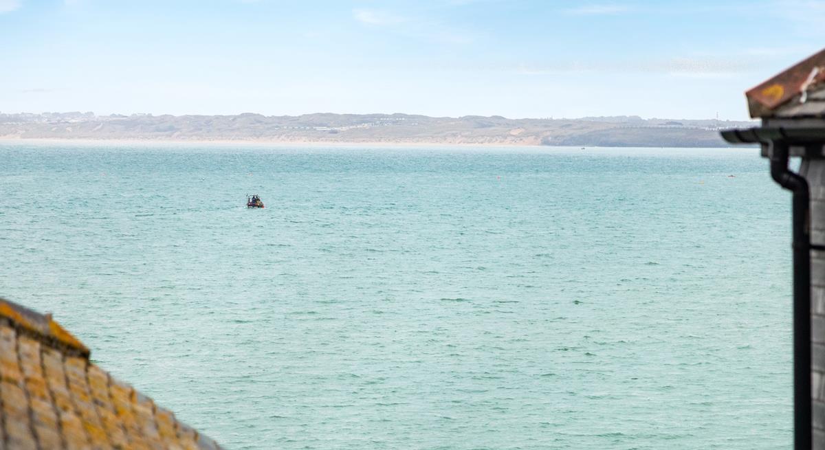 Why not take a boat trip out into the Bay and see what wildlife you can spot.