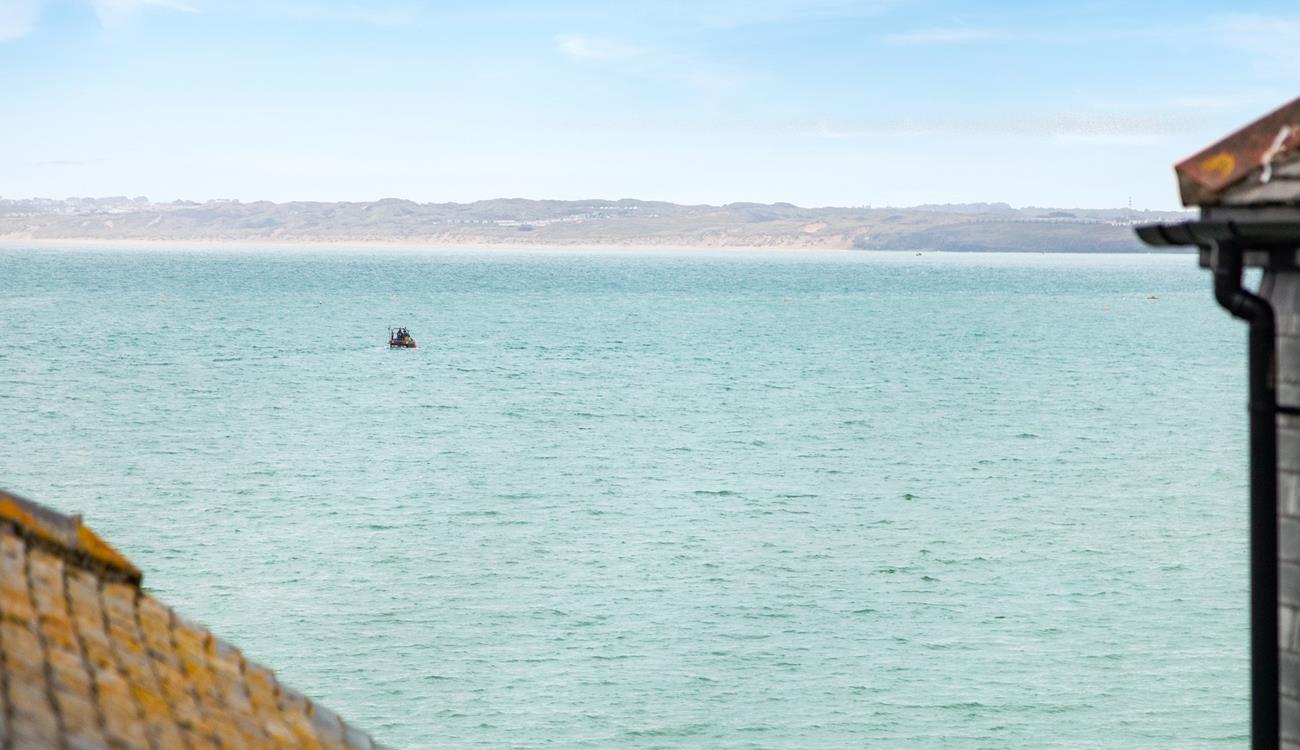 Why not take a boat trip out into the Bay and see what wildlife you can spot.