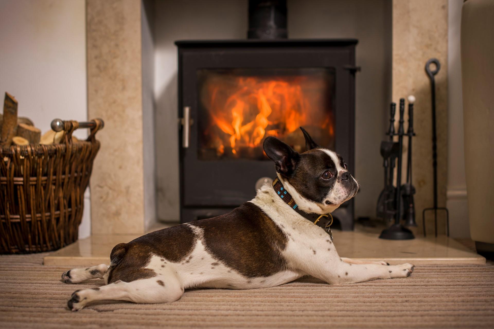 Your furry friends will love warming themselves by the woodburner after a bracing beach walk.