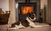 Your furry friends will love warming themselves by the woodburner after a bracing beach walk. - Thumbnail Image