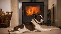 Your furry friends will love warming themselves by the woodburner after a bracing beach walk.