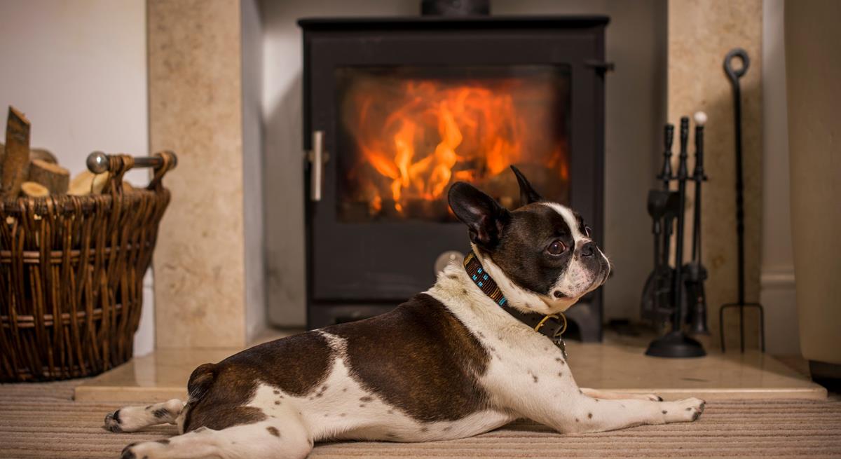 Your furry friends will love warming themselves by the woodburner after a bracing beach walk.