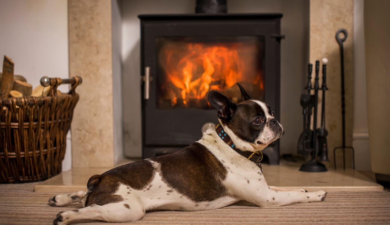 Your furry friends will love warming themselves by the woodburner after a bracing beach walk.