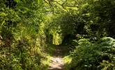 Pop on your walking boots and explore the nearby countryside walks. - Thumbnail Image