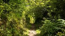 Pop on your walking boots and explore the nearby countryside walks.