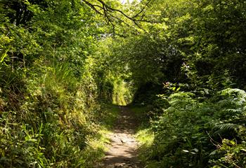 Pop on your walking boots and explore the nearby countryside walks.