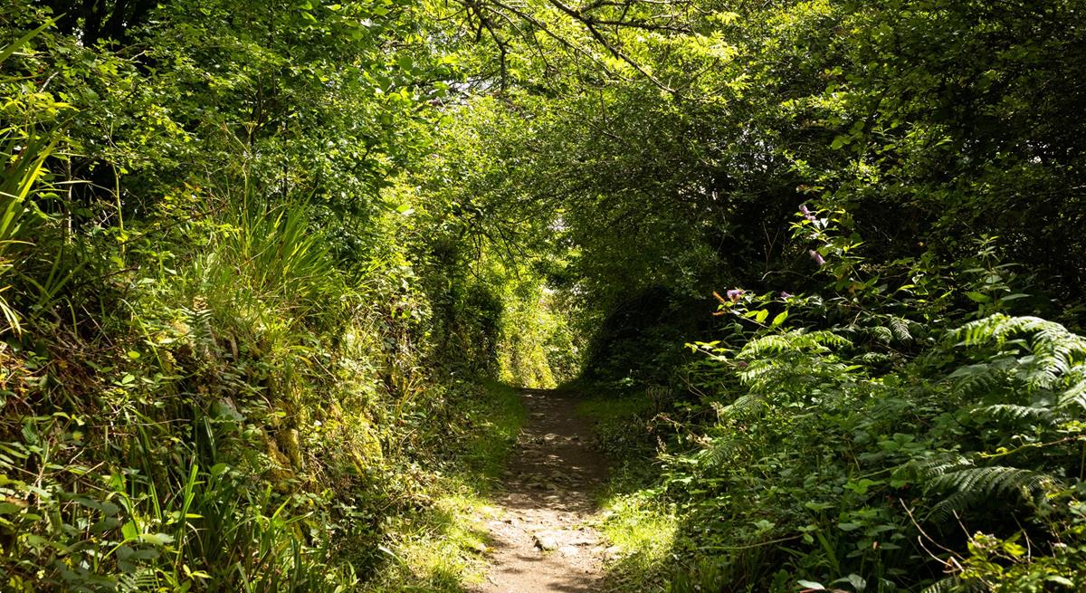 Pop on your walking boots and explore the nearby countryside walks.
