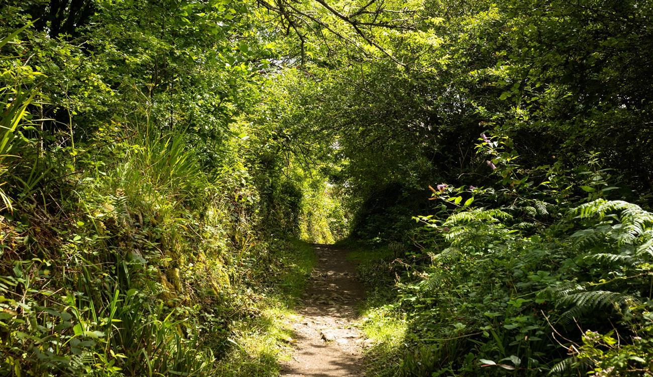 Pop on your walking boots and explore the nearby countryside walks.