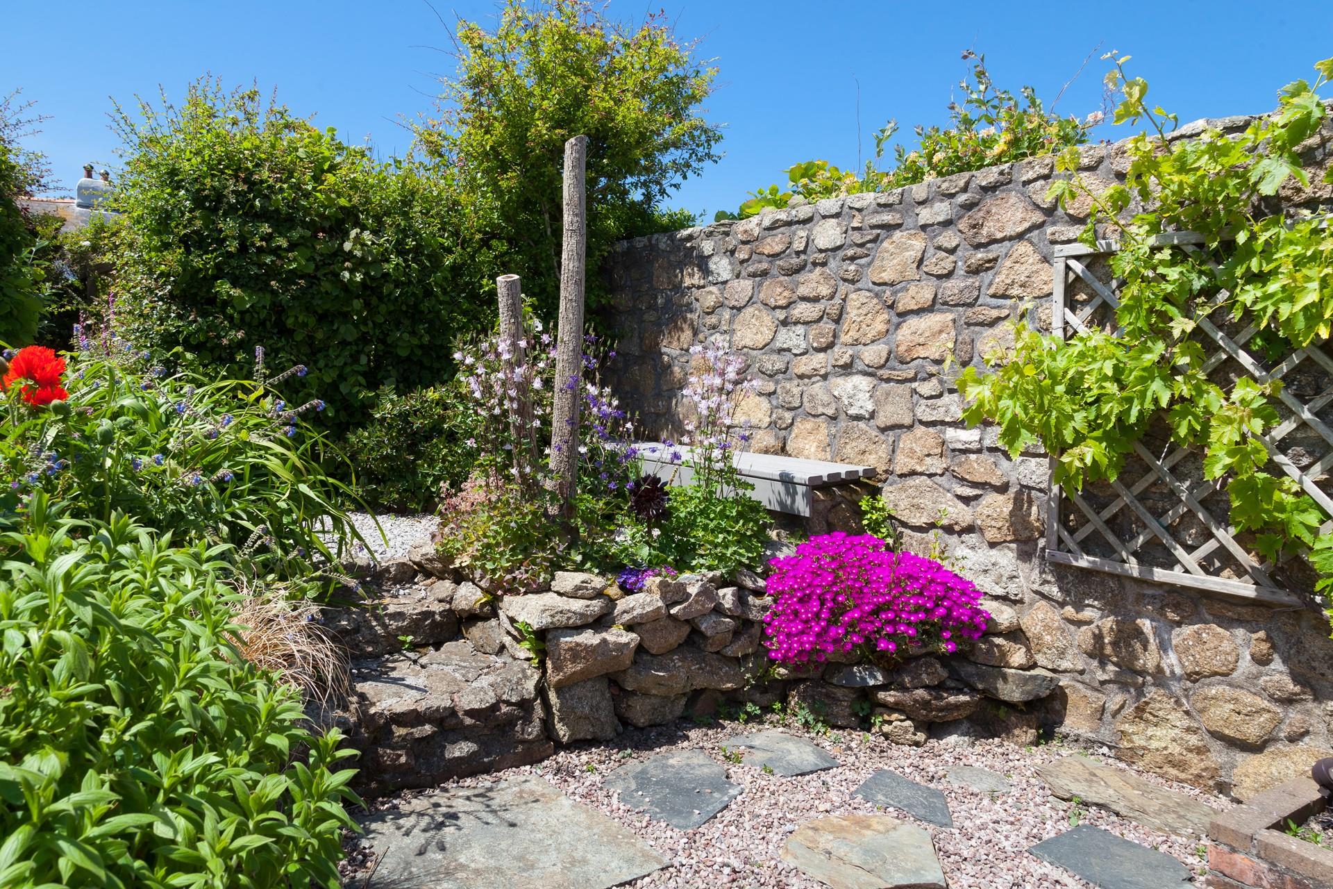 Explore the beautiful flora in the garden.