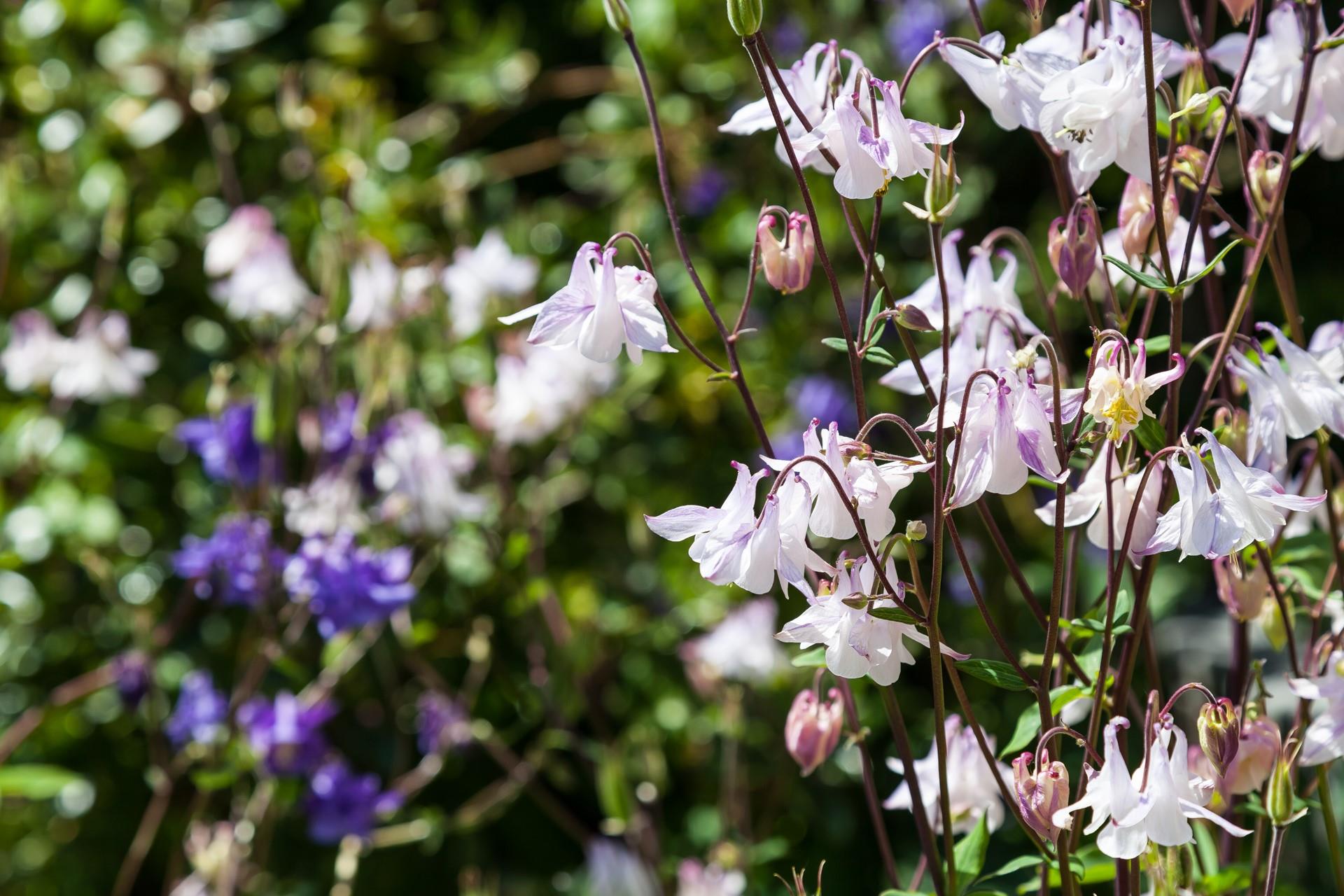 Explore the idyllic fishing village of Mousehole and come back to your Cornish bolthole.