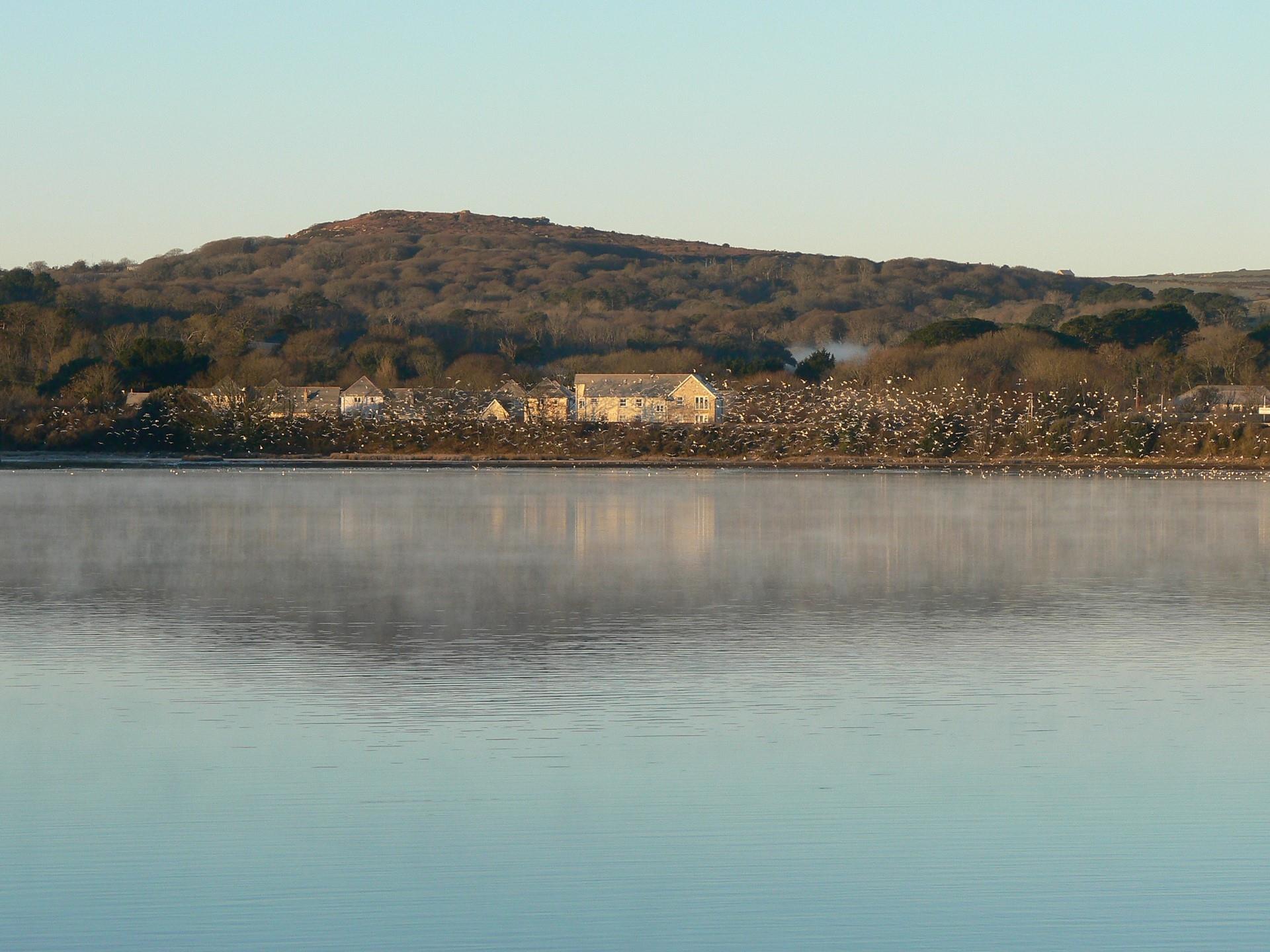 Enjoy views of the estuary, a popular bird-watching spot.