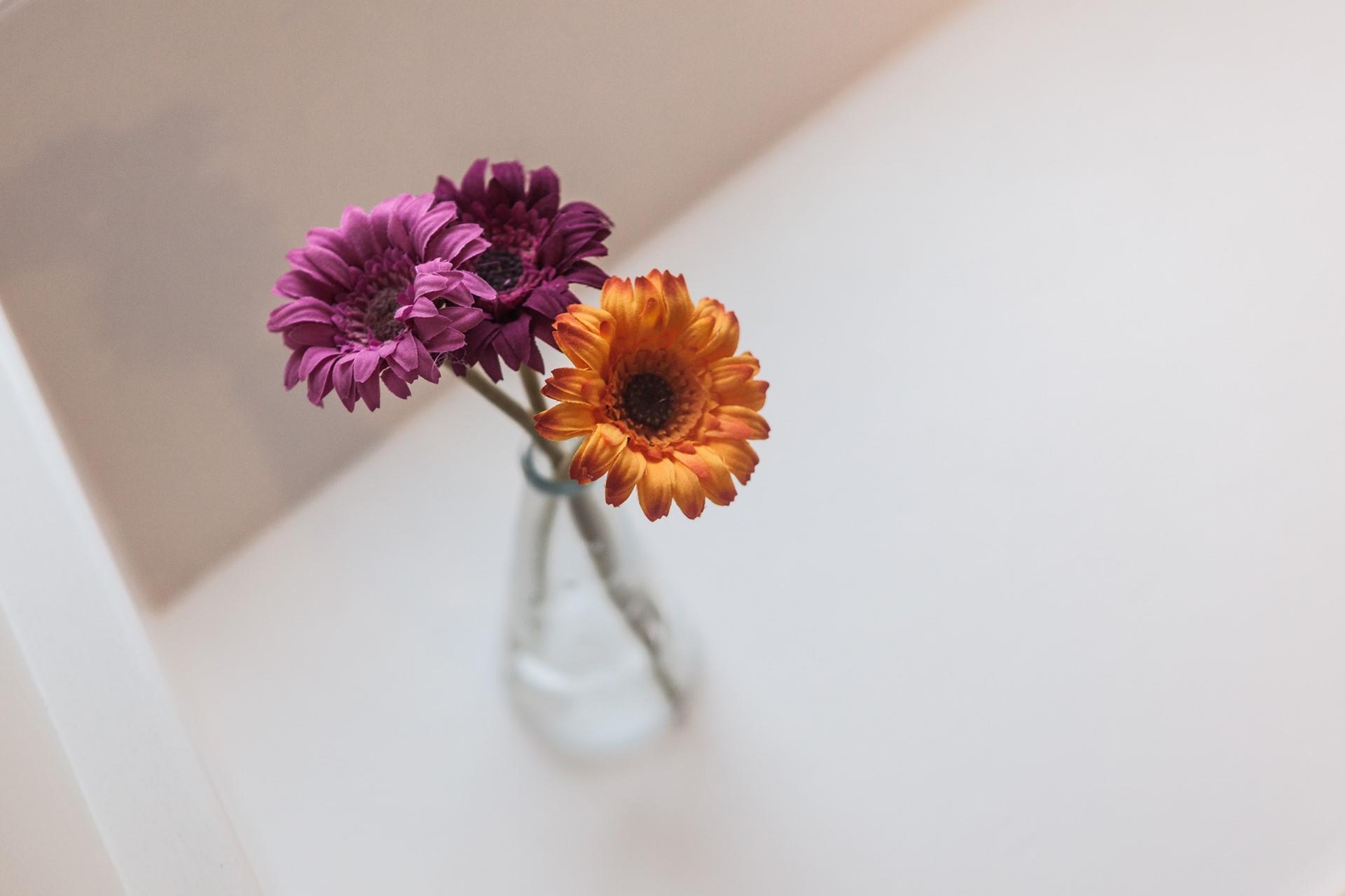 This beautiful holiday home brings a modern twist to a gorgeous fisherman's cottage.