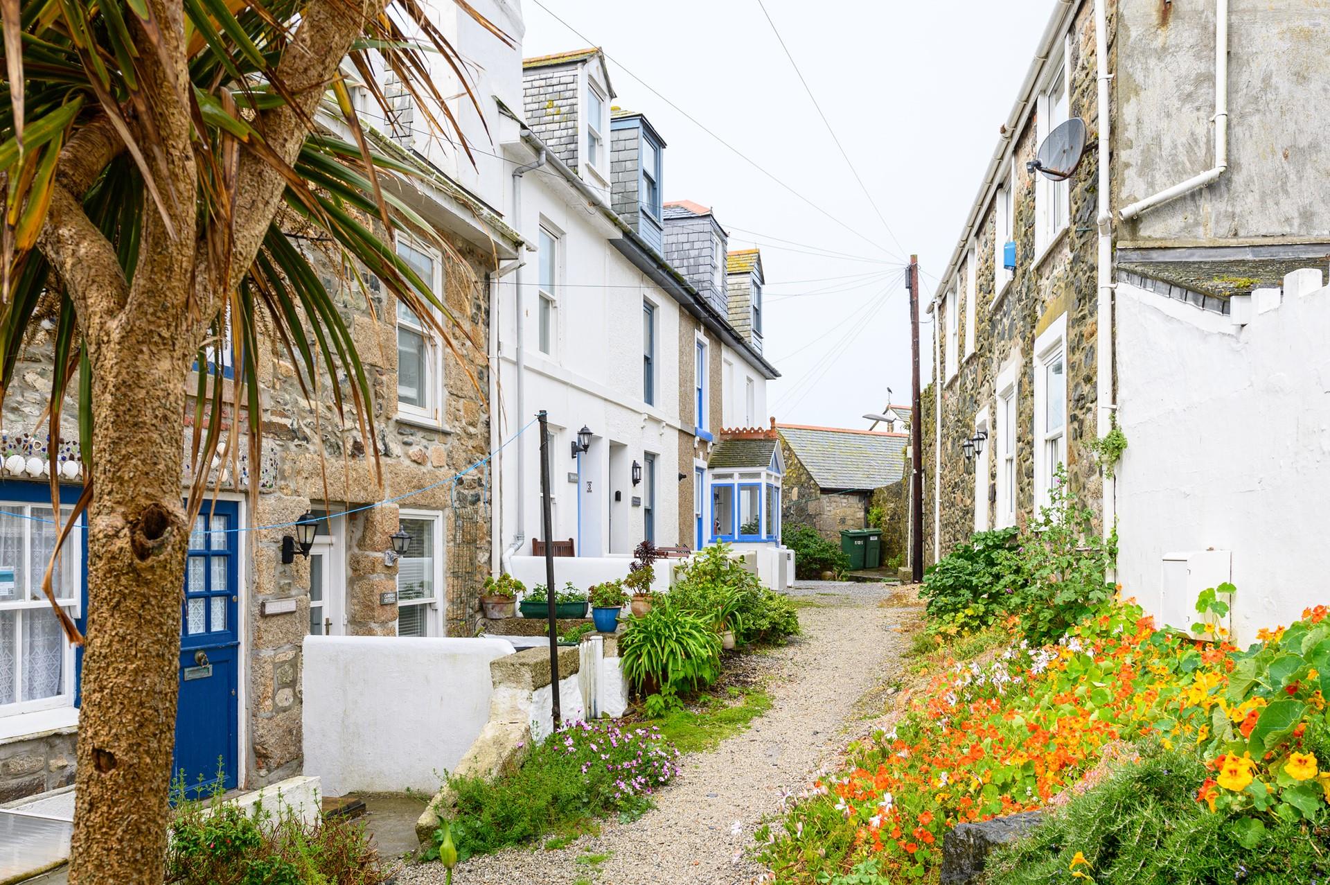 Tykky Dyw is tucked away in a beautiful street in the heart of St Ives, the access is well maintained with borders bursting with life.