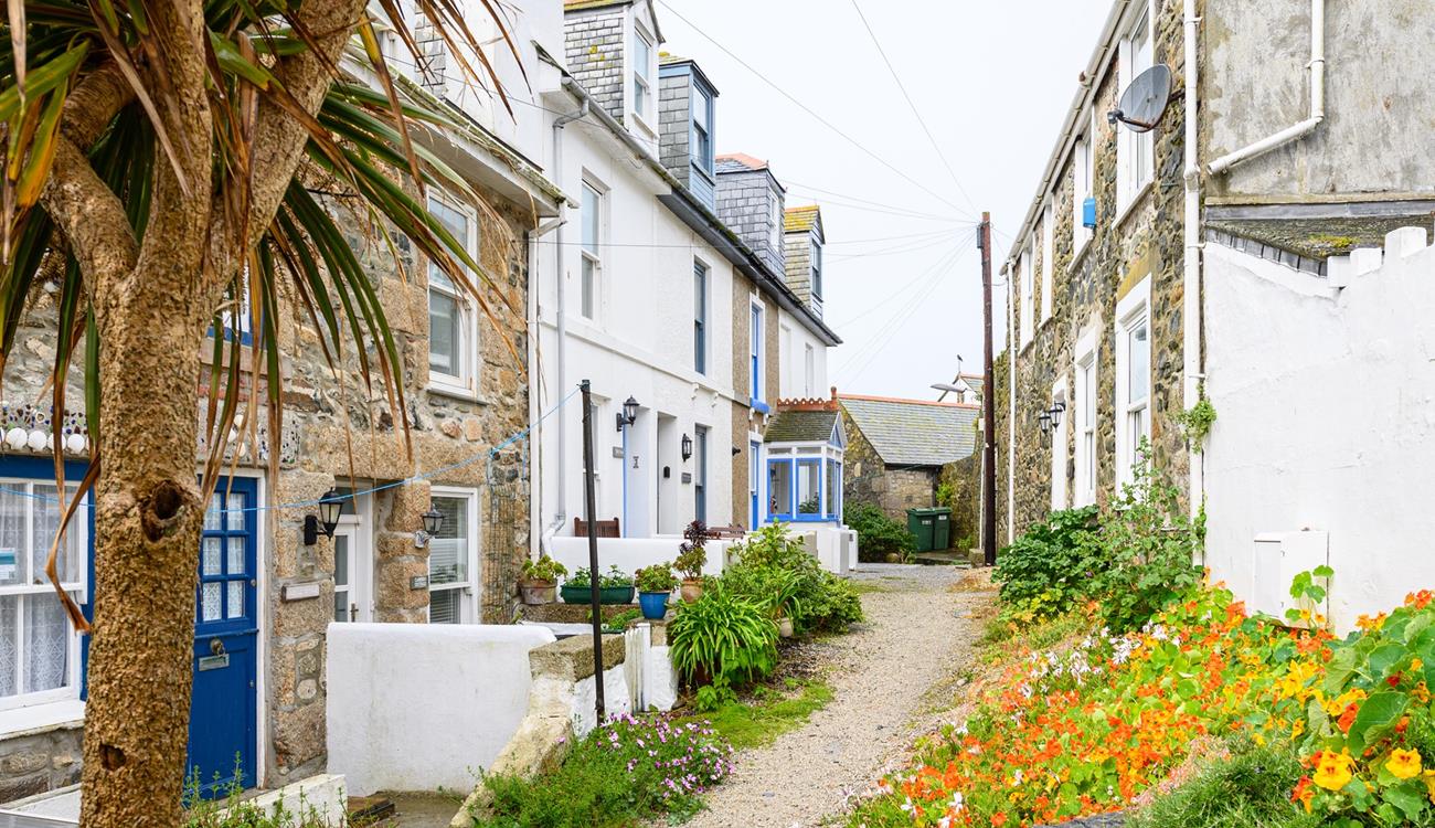 Tykky Dyw is tucked away in a beautiful street in the heart of St Ives, the access is well maintained with borders bursting with life.