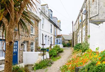 Tykky Dyw is tucked away in a beautiful street in the heart of St Ives, the access is well maintained with borders bursting with life.