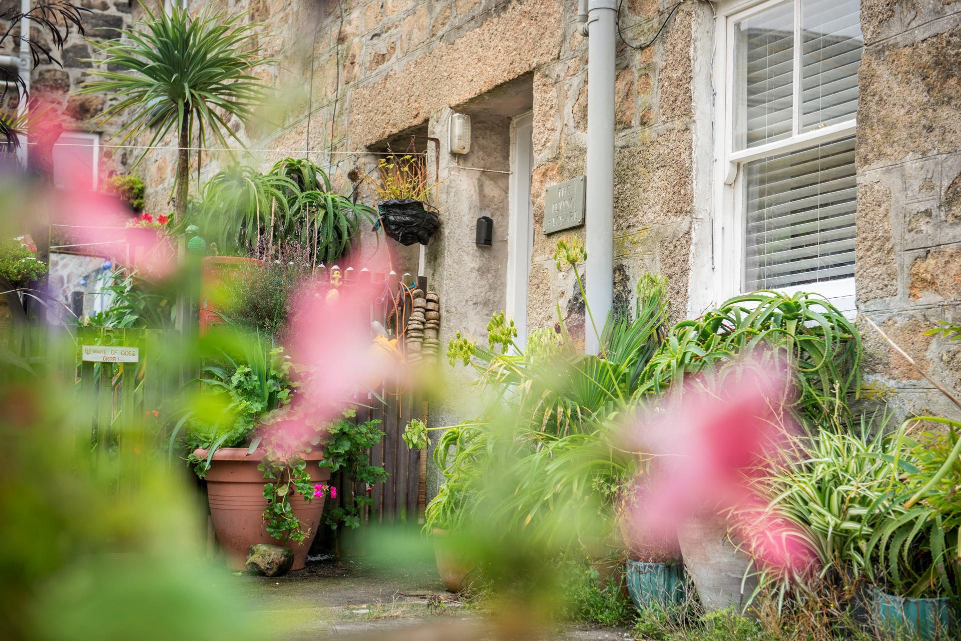 The garden is well kept and bursting with life. 