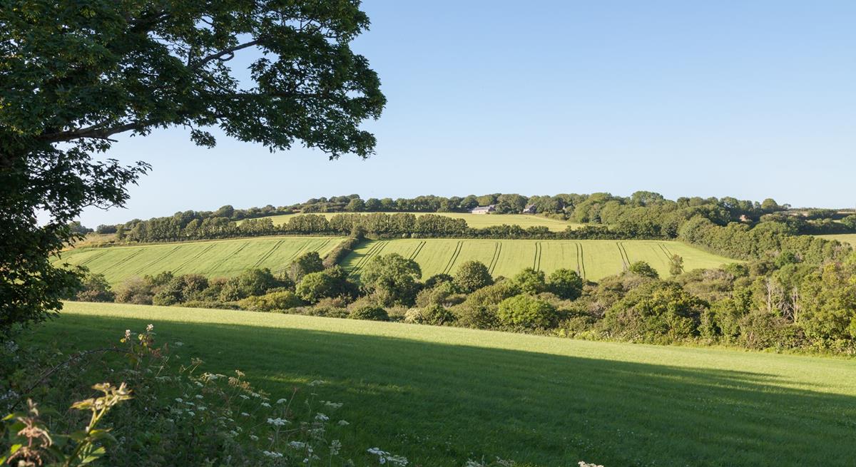 The rural location means you enjoy the peace and quiet away from the hustle and bustle.