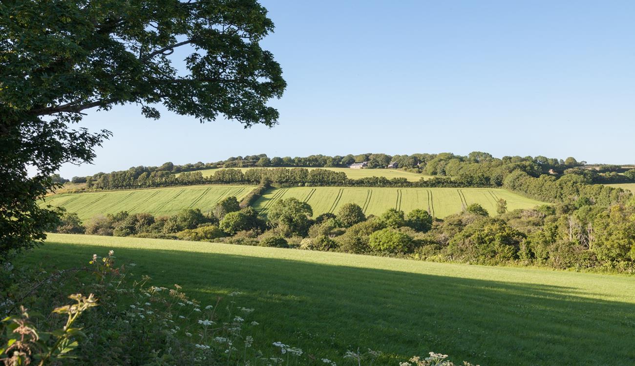 The rural location means you enjoy the peace and quiet away from the hustle and bustle.