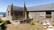 The garden is bursting with native flora.