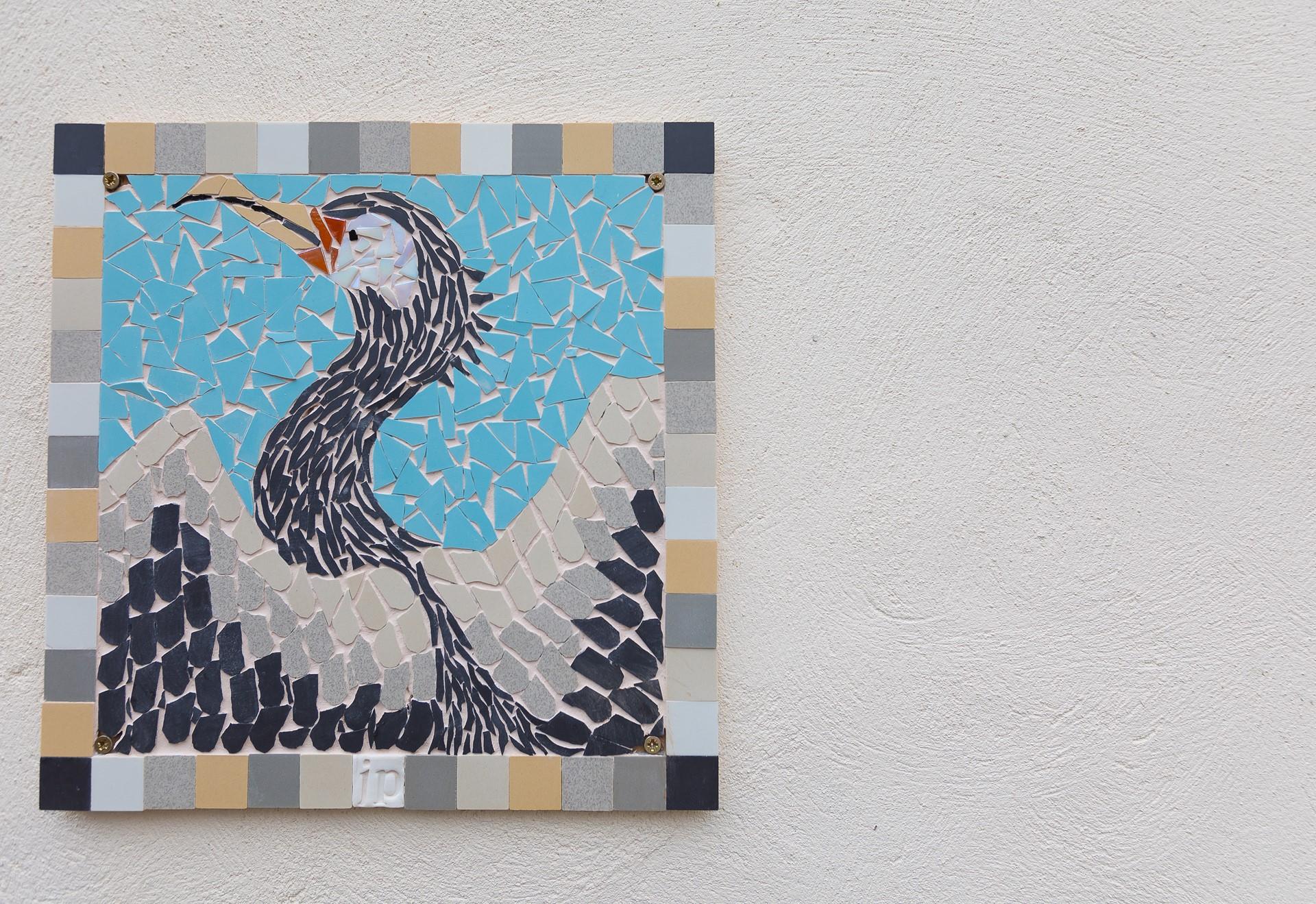 A cormorant at Cormorant Cottage!