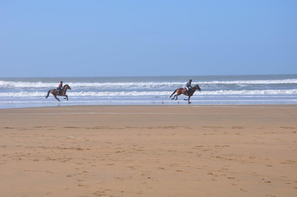 Northcott Beach is nearby for a blustery beach walk in the autumn months.