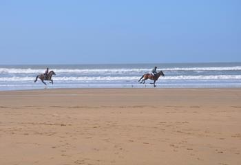 Northcott Beach is nearby for a blustery beach walk in the autumn months.