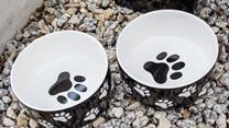 Your pooch is very welcome at Parc Cottage!