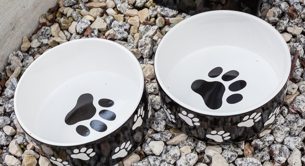 Your pooch is very welcome at Parc Cottage!