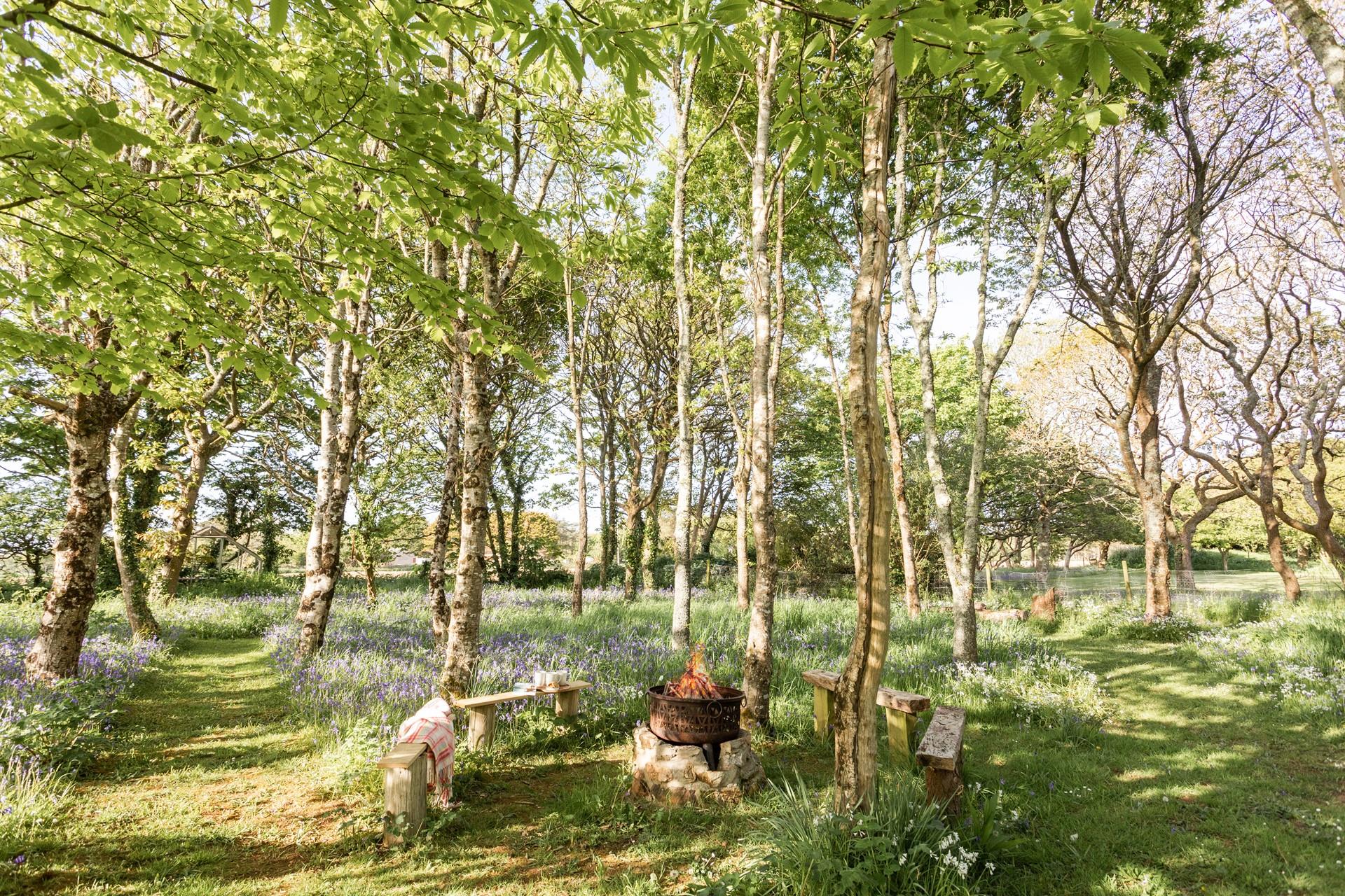 Spend the evening sharing stories over the fire with a cosy hot chocolate in hand.