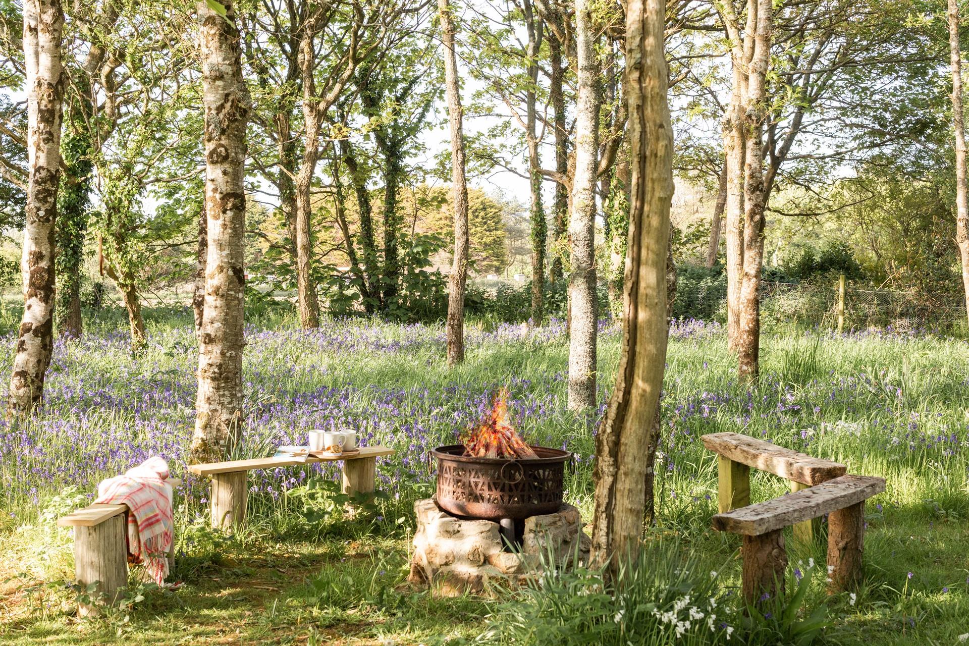 Toast marshmallows around the firepit.