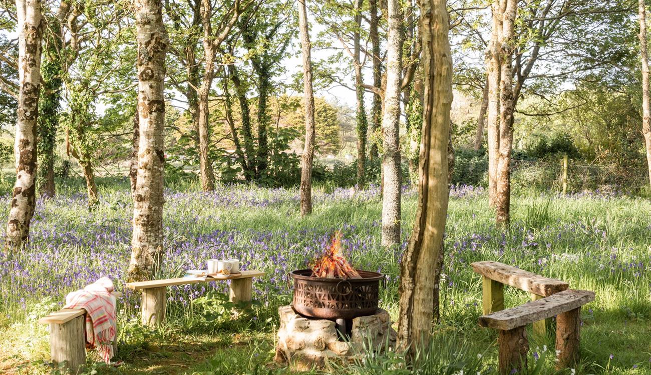 Toast marshmallows around the firepit.