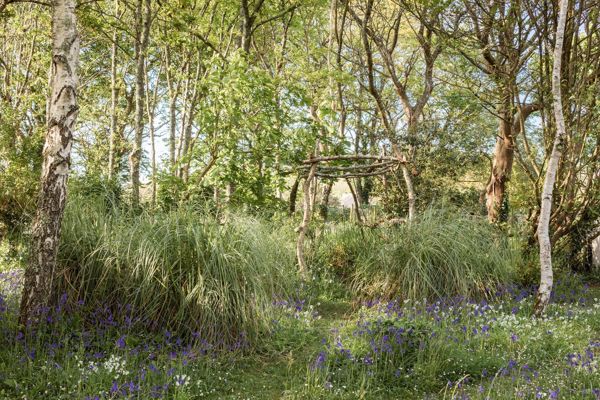 Watch the beautiful bluebells come out in springtime in the leafy garden.