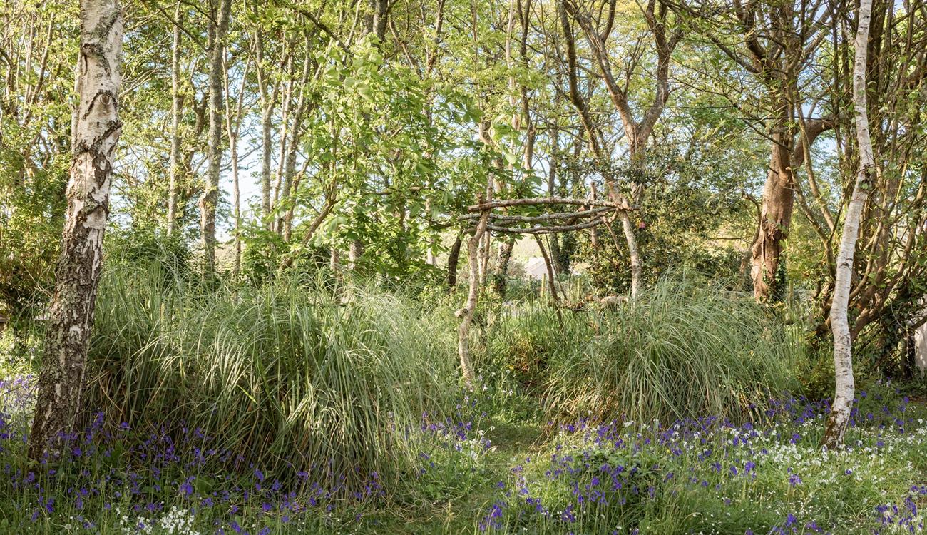 Watch the beautiful bluebells come out in springtime in the leafy garden.