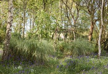 Watch the beautiful bluebells come out in springtime in the leafy garden.