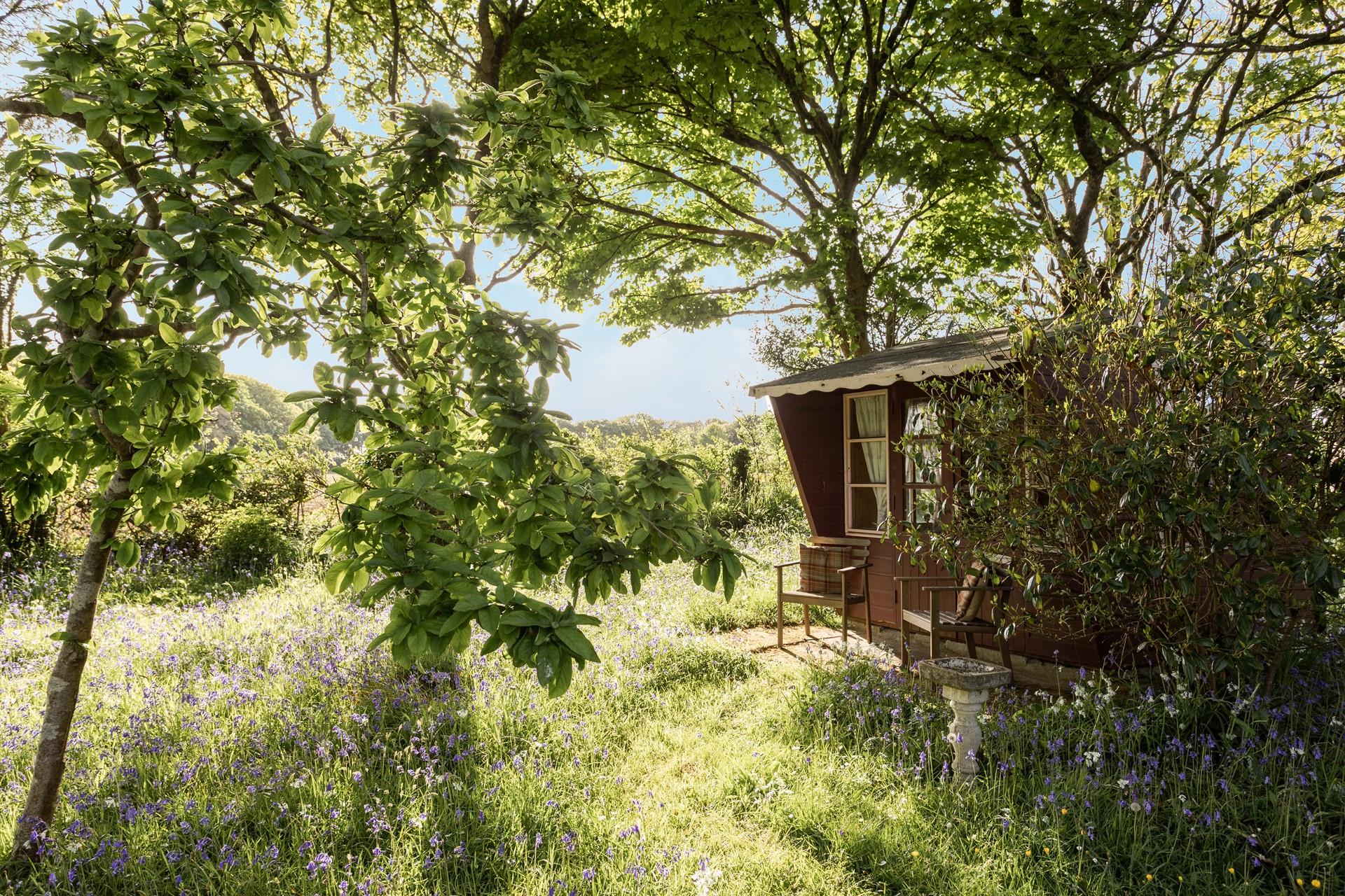 The kids will have hours of fun exploring the large garden.