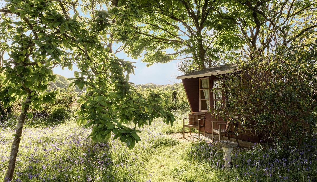 The kids will have hours of fun exploring the large garden.