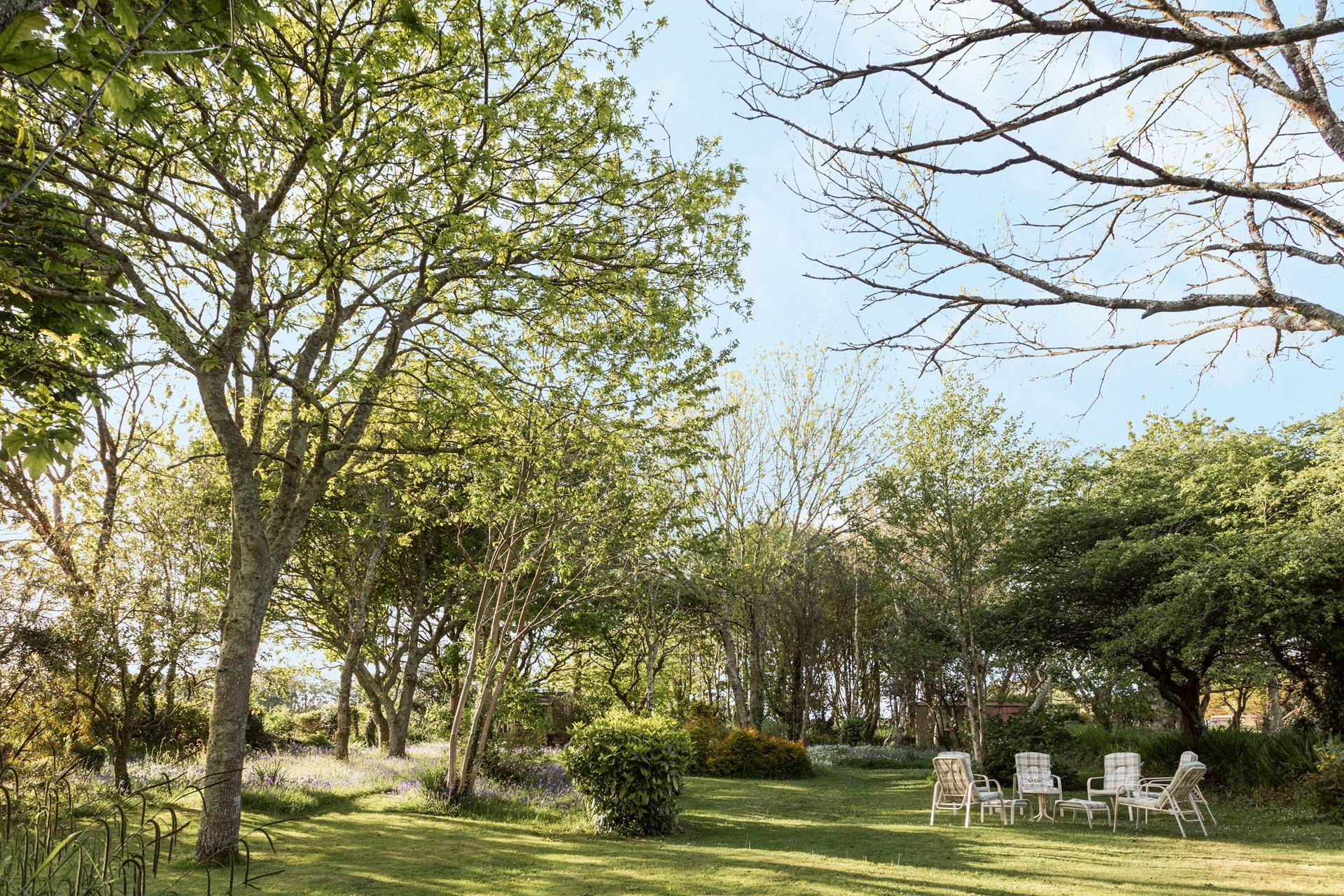 The garden even has a little pond! Sip your morning coffee as you watch the water ripples and feel the stress of day to day life drift away.